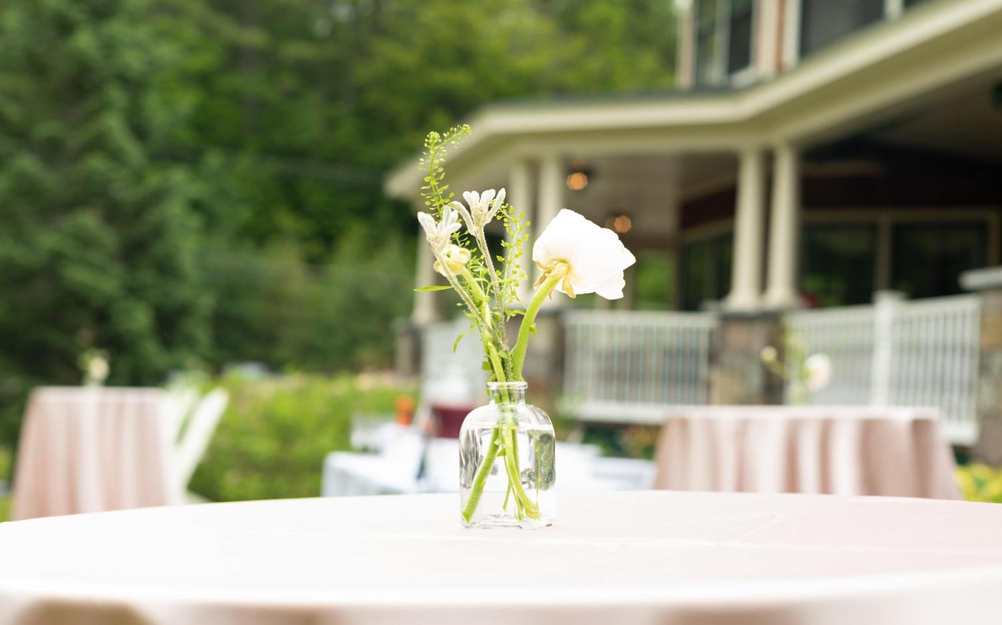 The Inn At Thorn Hill Jackson Extérieur photo